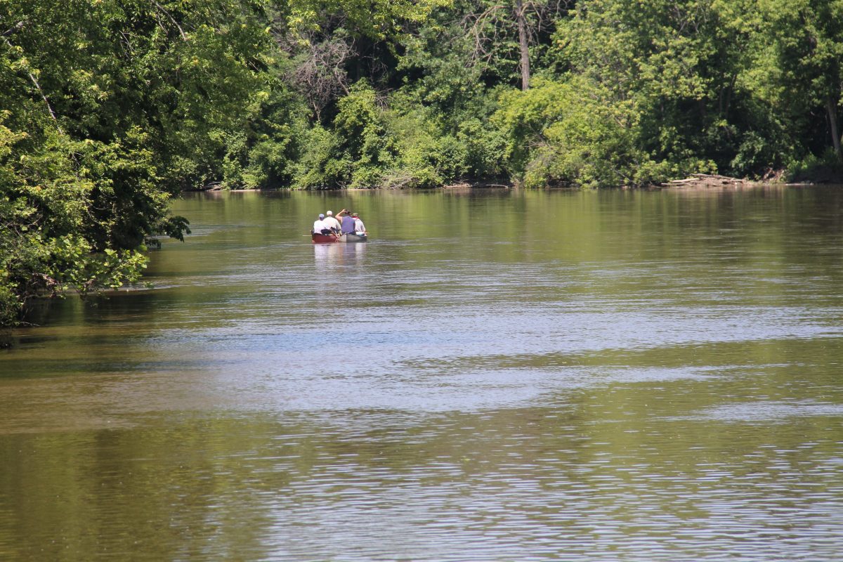 Explore the Beauty of Flint & Genesee Kayaking the Flint River